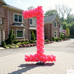 Balloon Decor - Front Yard