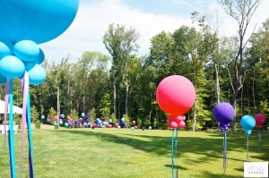 Balloon Decor - Backyard