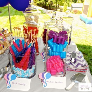 Dessert Table - Candy Bar